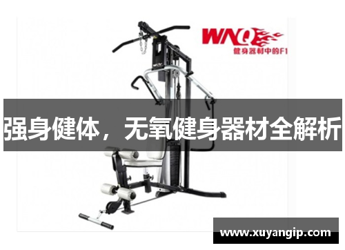 强身健体，无氧健身器材全解析