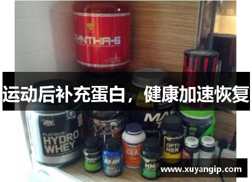 运动后补充蛋白，健康加速恢复