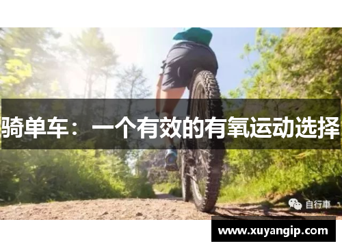 骑单车：一个有效的有氧运动选择
